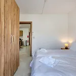 New & Modern 2br In Apartment *